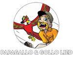 Papagallo & Gollo Lied